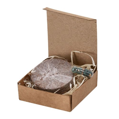 Kit à planter - image 5